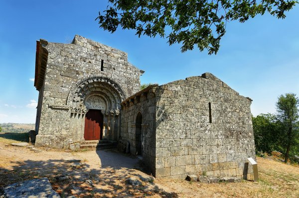 Come riconoscere i segni di ansia in un gatto di razza Blu di Russia durante i cambiamenti domestici?