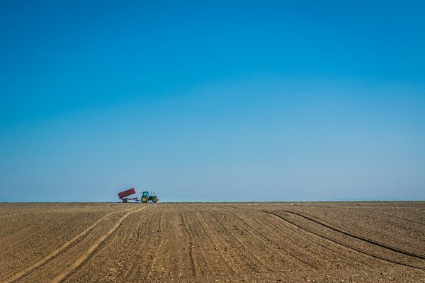 Quali tecniche di agricoltura sinergica possono essere applicate in un piccolo orto familiare?